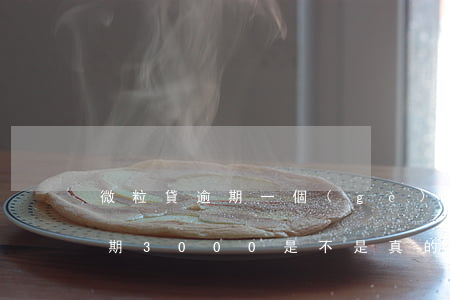 微粒貸逾期一個(gè)月要上門(微粒貸逾期3000是不是真的會(huì)上門)