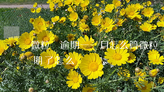 微粒貸逾期一個月怎么算(微粒貸逾期一個星期了怎么辦)
