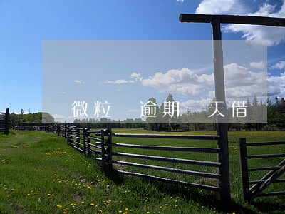 微粒貸逾期一天借唄沒了
