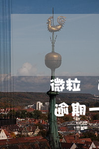 微粒貸逾期一天利息高嗎(微粒貸5000多逾期一年)