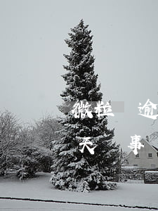 微粒貸逾期一天加多少錢(微粒貸一般逾期幾天沒事)