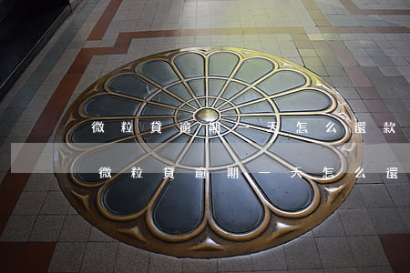 微粒貸逾期一天怎么還款按不動還款按鈕-微粒貸逾期一天怎么還款 按不動還款按鈕