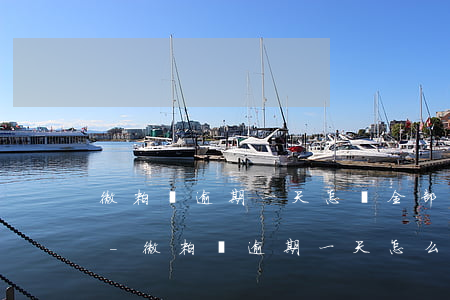 微粒貸逾期一天怎樣全部結(jié)清天-微粒貸逾期一天怎么手動(dòng)還