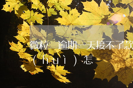 微粒貸逾期一天接不了款(微粒貸逾期1天會(huì)怎樣?)