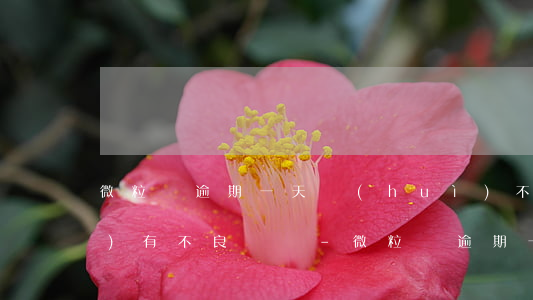 微粒貸逾期一天會(huì)不會(huì)有不良記錄-微粒貸逾期一天會(huì)不會(huì)有不良記錄呢