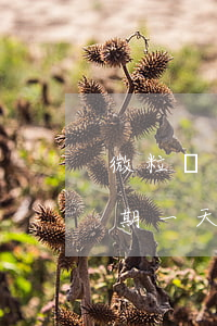 微粒貸逾期一天會被收回額度么-微粒貸逾期一天會被收回額度么嗎