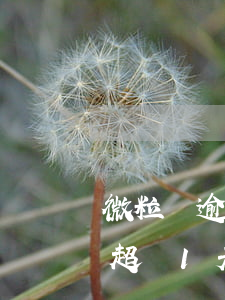 微粒貸逾期一天有沒有影響征信（微粒貸逾期超過1天）