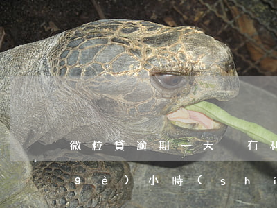 微粒貸逾期一天沒有利息(微粒貸逾期幾個(gè)小時(shí)有沒有影響)