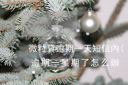 微粒貸逾期一天短信內(nèi)容(微粒貸逾期一星期了怎么辦)