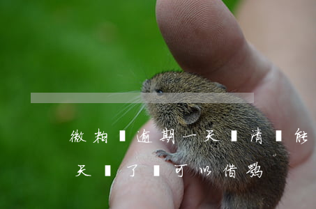 微粒貸逾期一天還清還能貸嗎(微粒貸逾期1天還了還可以借嘛)