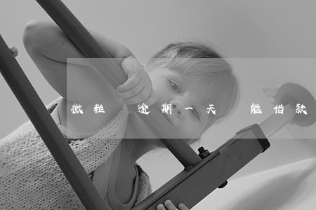 微粒貸逾期一天還能借款(微粒貸借一天可以還嗎)