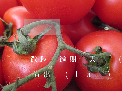 微粒貸逾期一天還進(jìn)去可以立馬借出來(lái)嗎-微粒貸逾期一天還進(jìn)去可以立馬借出來(lái)嗎