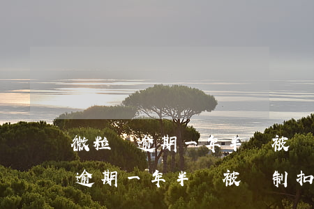 微粒貸逾期一年半會被強制扣款嗎-微粒貸逾期一年半會被強制扣款嗎怎么辦
