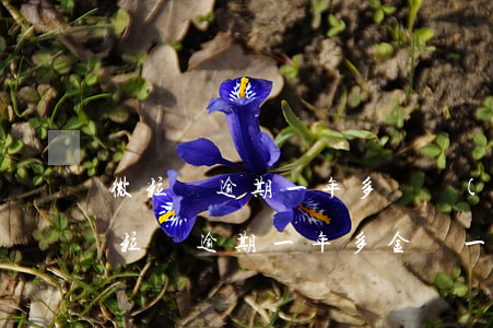 微粒貸逾期一年多還會(huì)起訴嗎(微粒貸逾期一年多金額一萬會(huì)不會(huì)起訴)