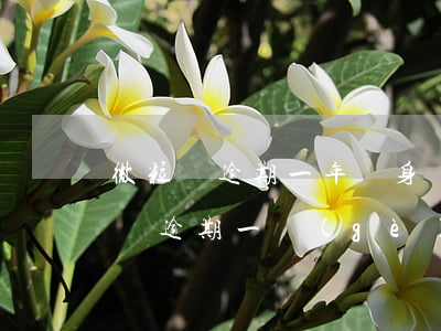 微粒貸逾期一年親身經(jīng)歷(微粒貸逾期一個(gè)月會(huì)有什么后果?,有獎(jiǎng)問答)