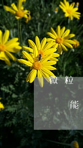 微粒貸逾期一星期后還款(微粒貸逾期還清后還能借款嗎)