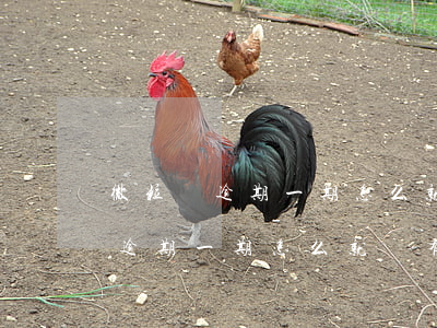 微粒貸逾期一期怎么就沒有額度了-微粒貸逾期一期怎么就沒有額度了呢