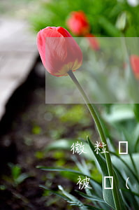 微粒貸逾期一次全部還清(微粒貸逾期多久會被強(qiáng)制還清)