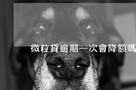 微粒貸逾期一次會降額嗎(微粒貸會不會降額)