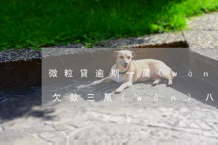 微粒貸逾期一萬(wàn)還了六千(微粒貸欠款三萬(wàn)八逾期一年半了)