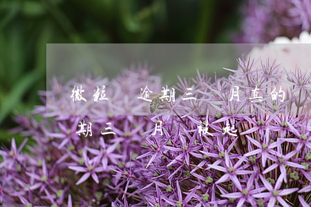 微粒貸逾期三個月真的會上門嗎-微粒貸逾期三個月會被起訴嗎