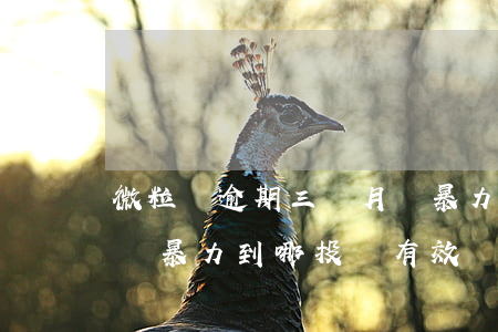 微粒貸逾期三個月軟暴力(微粒貸第三方催收軟暴力到哪投訴有效)