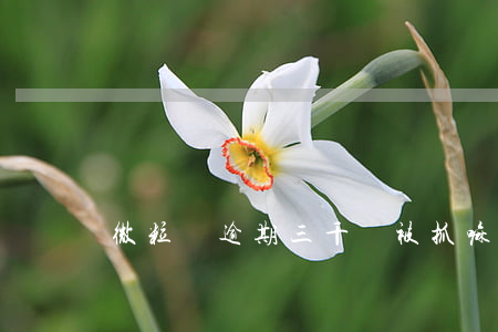 微粒貸逾期三千會被抓嘛