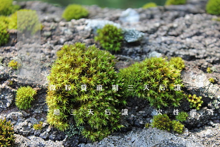 微粒貸逾期三天后讓一次性還清-微粒貸逾期三天后讓一次性還清怎么辦