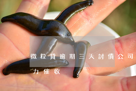 微粒貸逾期三天討債公司(微粒貸逾期兩天暴力催收)