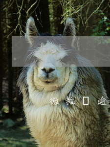 微粒貸逾期三月要起訴(微粒貸貸款逾期)