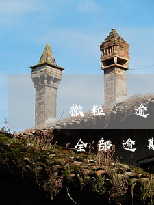 微粒貸逾期上征信了怎么處理（信用卡微粒貸全部逾期怎么辦）