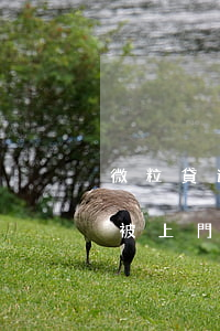 微粒貸逾期上門說要起訴(微粒貸欠款多少會被上門)