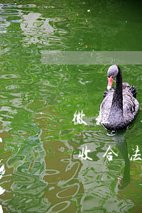 微粒貸逾期上門送催款函(微粒貸逾期上門催收合法嗎)