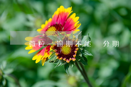 微粒貸逾期不能辦分期嗎(微粒貸可以分期嗎)