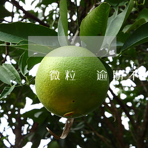 微粒貸逾期不讓協(xié)商