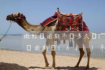 微粒貸逾期不還多久會(huì)起訴(微粒貸逾期會(huì)不會(huì)被起訴?)