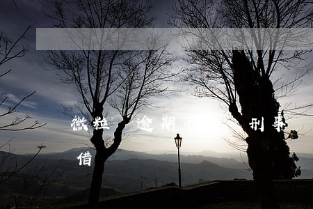 微粒貸逾期不還屬刑事嗎(有逾期微粒貸可以借嗎?)