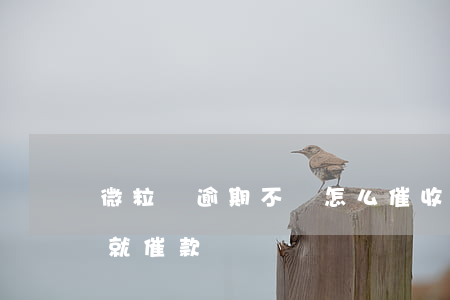 微粒貸逾期不還怎么催收(微粒貸多久不還款就催款)
