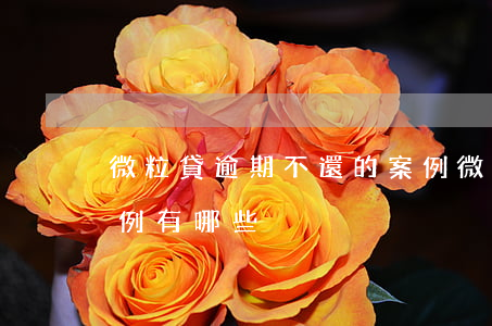 微粒貸逾期不還的案例(微粒貸逾期不還的案例有哪些)