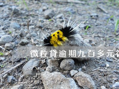 微粒貸逾期九百多元(微粒貸逾期了9000)