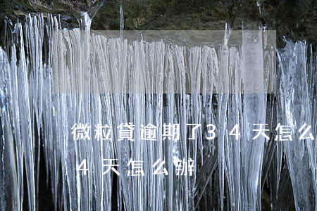 微粒貸逾期了34天怎么辦(微粒貸逾期了34天怎么辦)