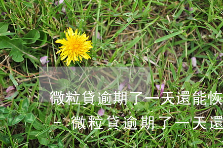 微粒貸逾期了一天還能恢復(fù)額度嗎-微粒貸逾期了一天還能恢復(fù)額度嗎知乎