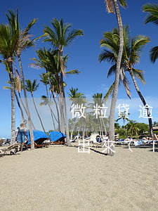 微粒貸逾期了什么時(shí)候可以再借出來(lái)-微粒貸逾期了什么時(shí)候可以再借出來(lái)錢(qián)