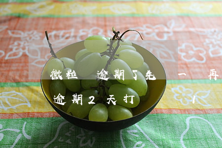 微粒貸逾期了先還一點再打電話不-微粒貸逾期2天打電話讓1點前還款