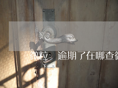微粒貸逾期了在哪查 微粒貸逾期了在哪查詢