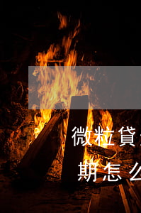 微粒貸逾期了如何看到本金欠多少(微粒貸逾期怎么還部分錢?)