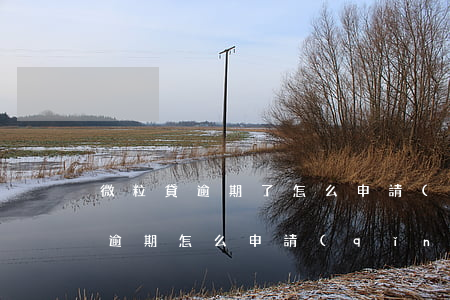 微粒貸逾期了怎么申請(qǐng)(微粒貸逾期怎么申請(qǐng)減免利息)