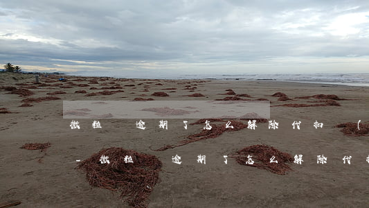 微粒貸逾期了怎么解除代扣協(xié)議-微粒貸逾期了怎么解除代扣協(xié)議呢