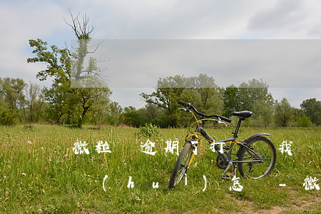 微粒貸逾期了打電話我沒(méi)接,后果會(huì)怎樣?-微粒貸逾期了打電話我沒(méi)接,后果會(huì)怎樣呢