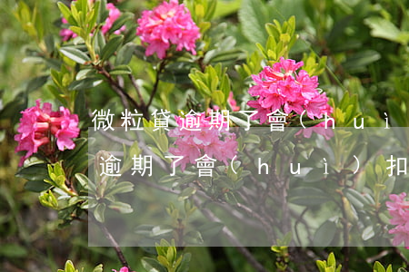 微粒貸逾期了會(huì)扣哪里錢(微粒貸逾期了會(huì)扣哪里錢)